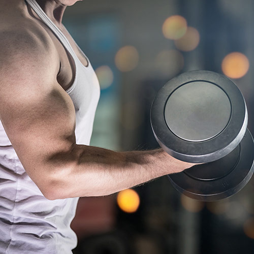Muskeltraining_144242414_500